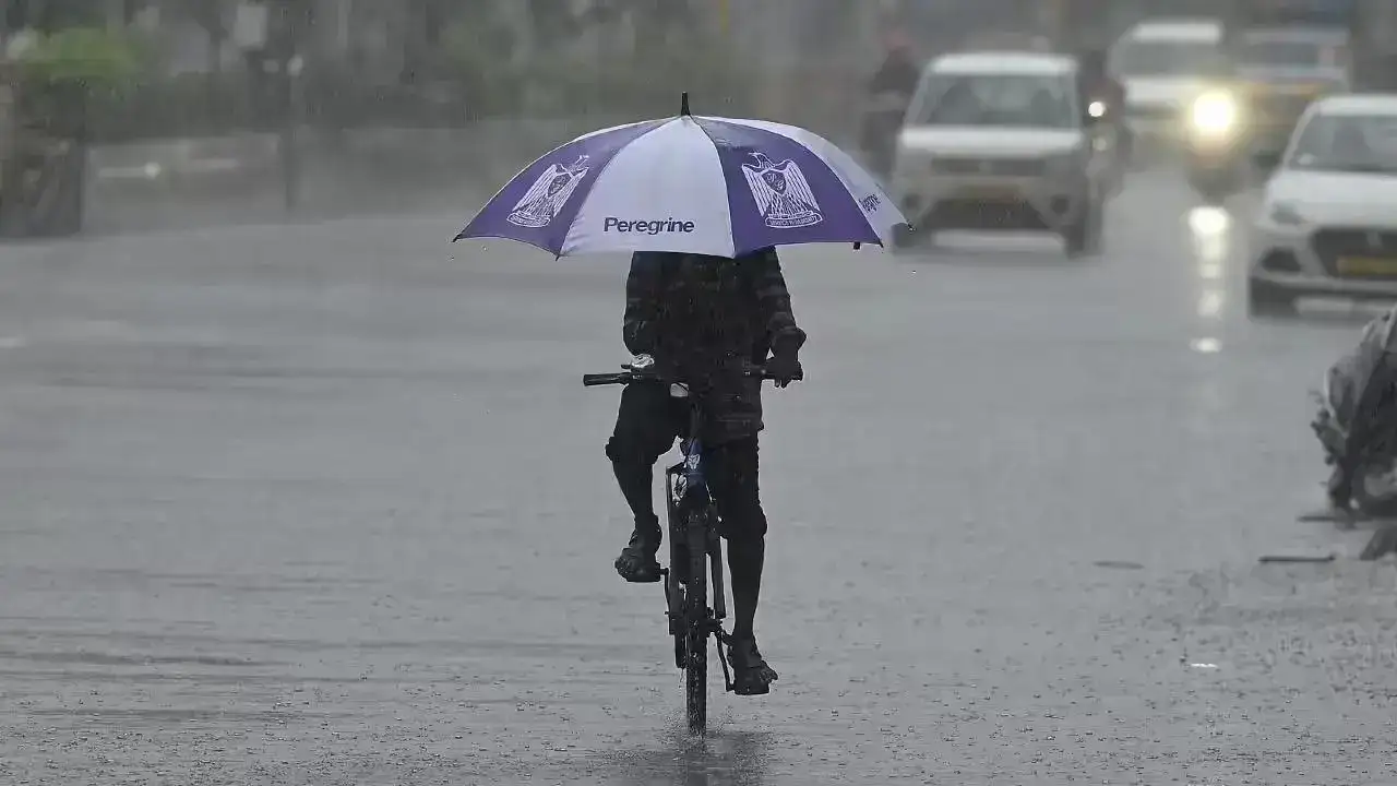 Monsoon in Tamil Nadu: IMD warns of heavy rain in 22 districts; Chennai to face intense heat and humidity
