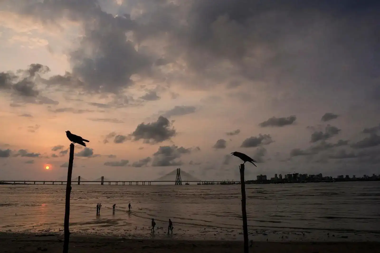 Mumbai, Pune weather this week: IMD issues yellow warning as thunderstorms hit Maharashtra; SpiceJet issues advisory