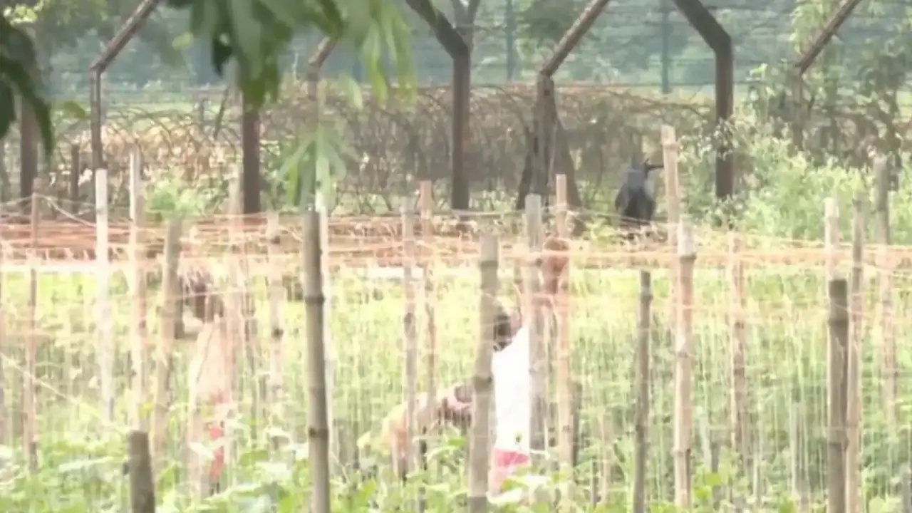 West Bengal clears 32 acres for BSF border fencing, rebrands Maa Canteen as ‘Ma Ahar’