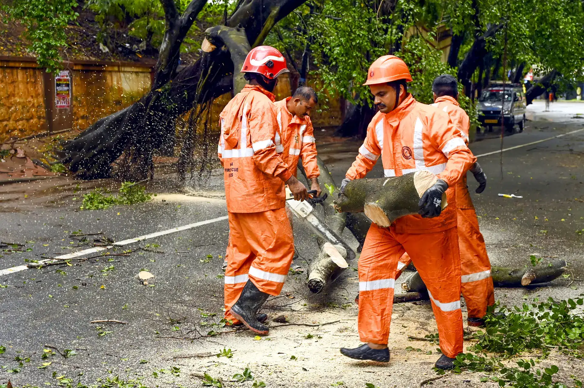 Heavy rains cause waterlogging, uprooting of trees in parts of Kerala; red alert in 5 districts