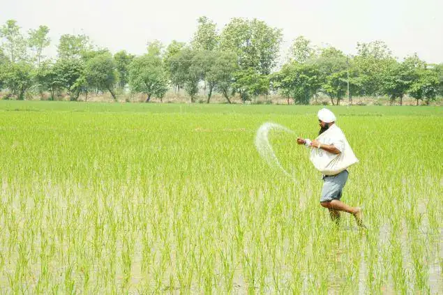 Over 100-year-old cooperative society transforming lives of farmers in Punjab