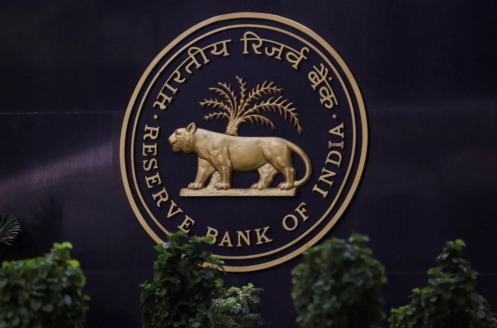 RBI may need to absorb at least half of hedging cost to spur