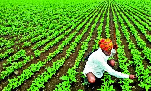 FTA talks with EAEU likely to take up agri, marine goods