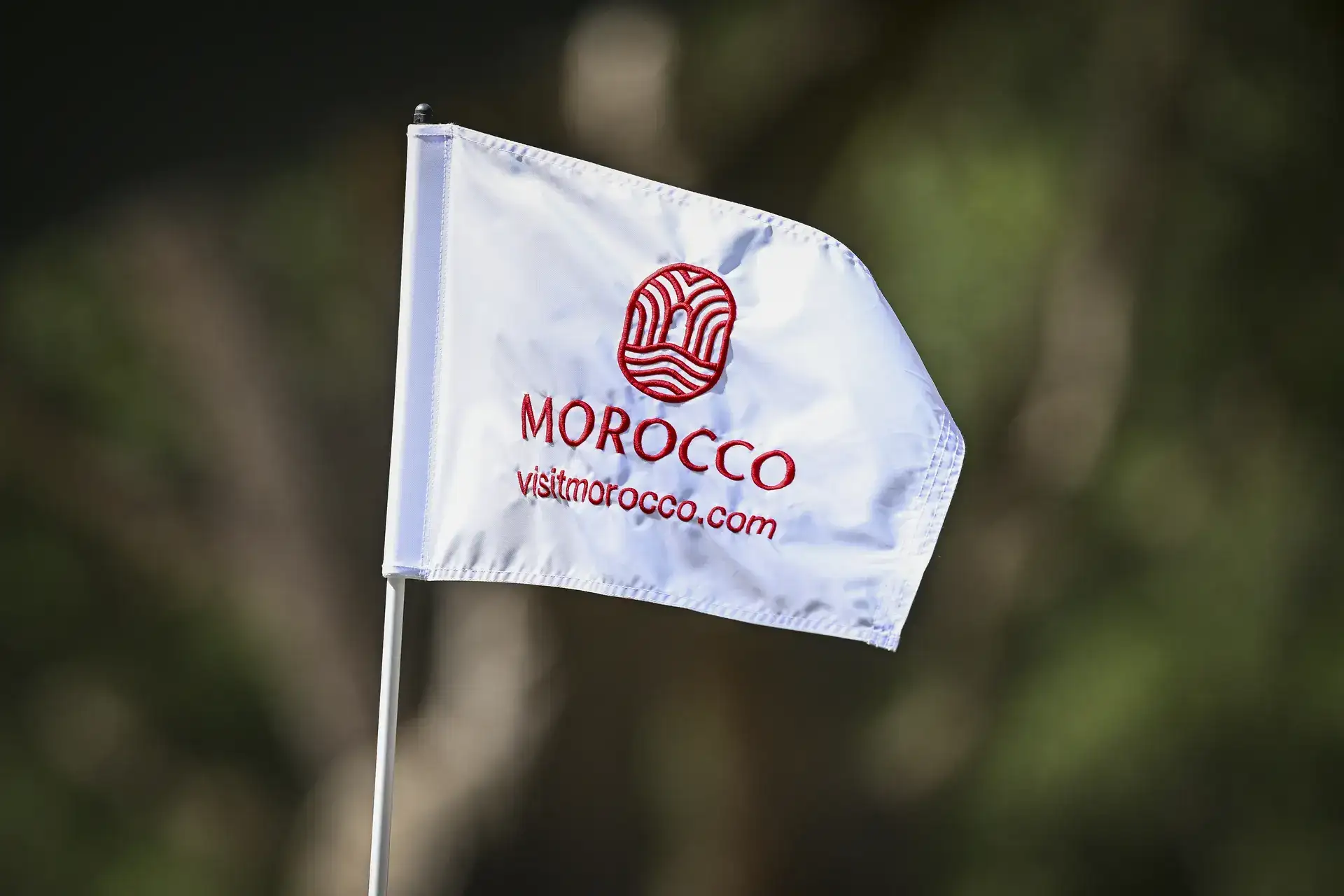 Morocco pitches itself as India's gateway to Europe and Afri