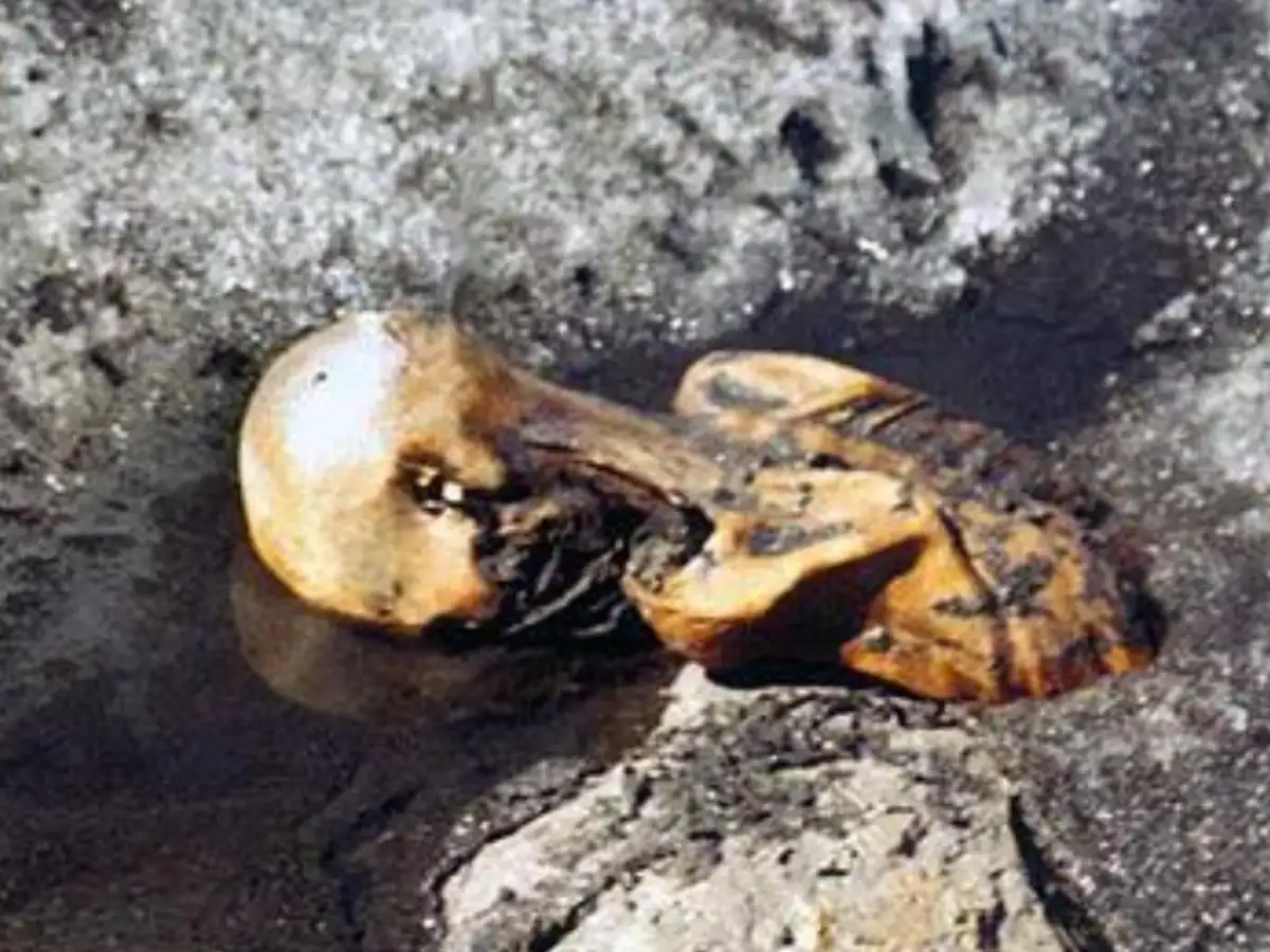 Ötzi frozen in the glacier, photographed by Helmut Simon upon discovery in September 1991 | Wikimedia Commons