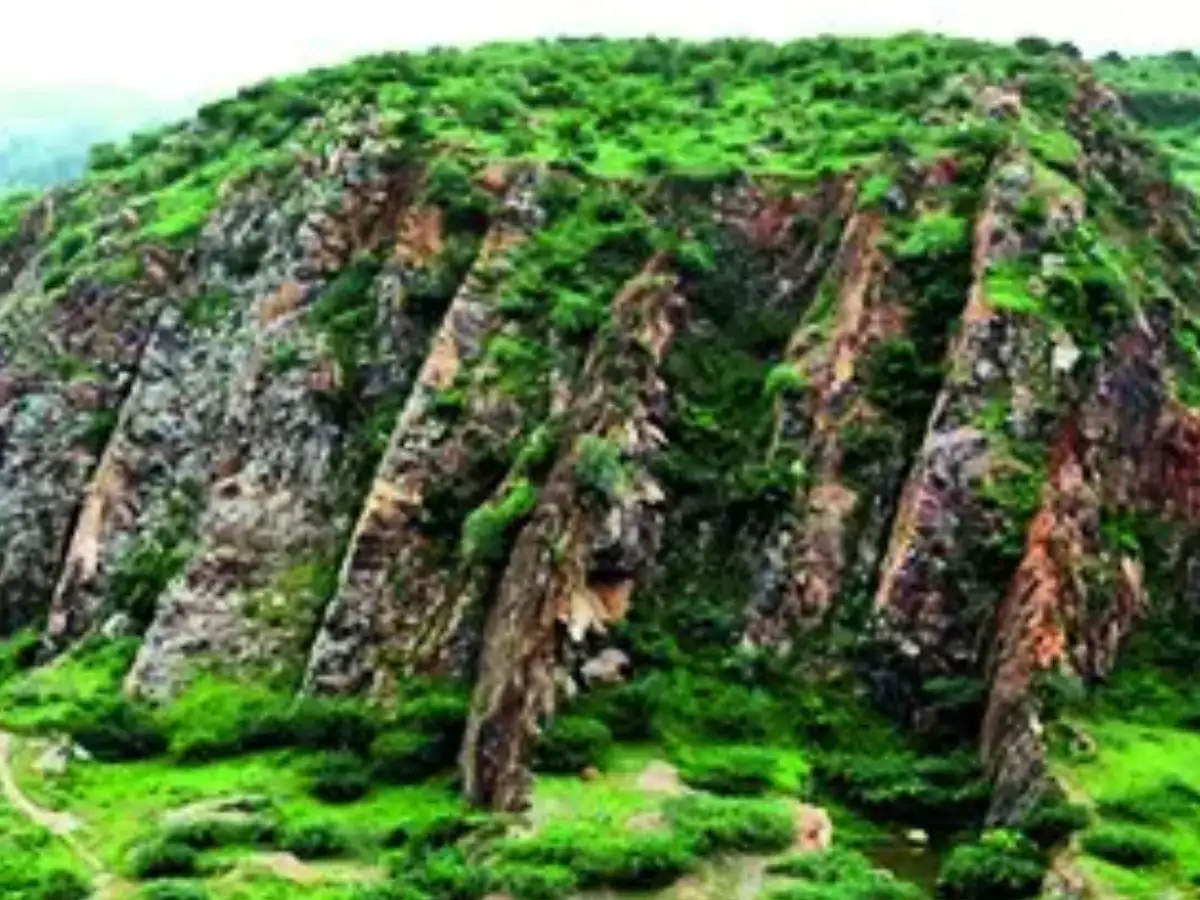 NCR plan keeps Aravali safeguards after long debate