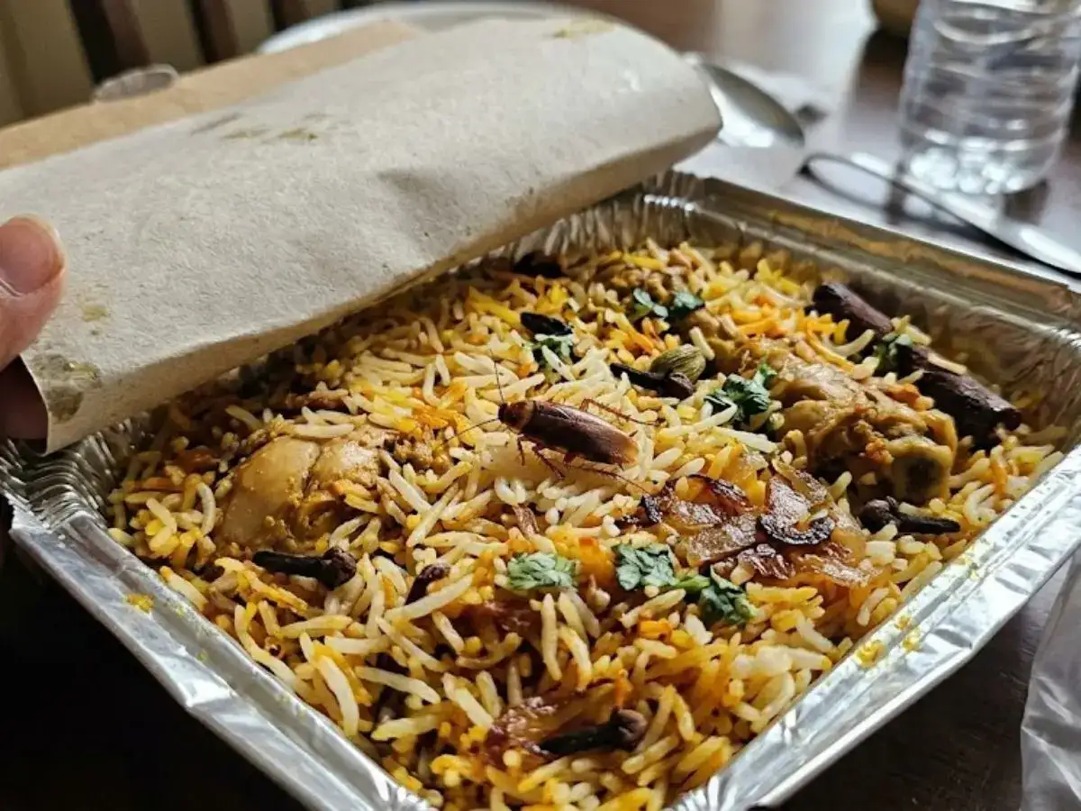 Dead insect in biriyani: Court orders restaurant to provide 