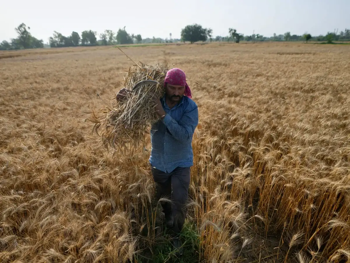 El Niño clouds loom over kharif crops, farm pay