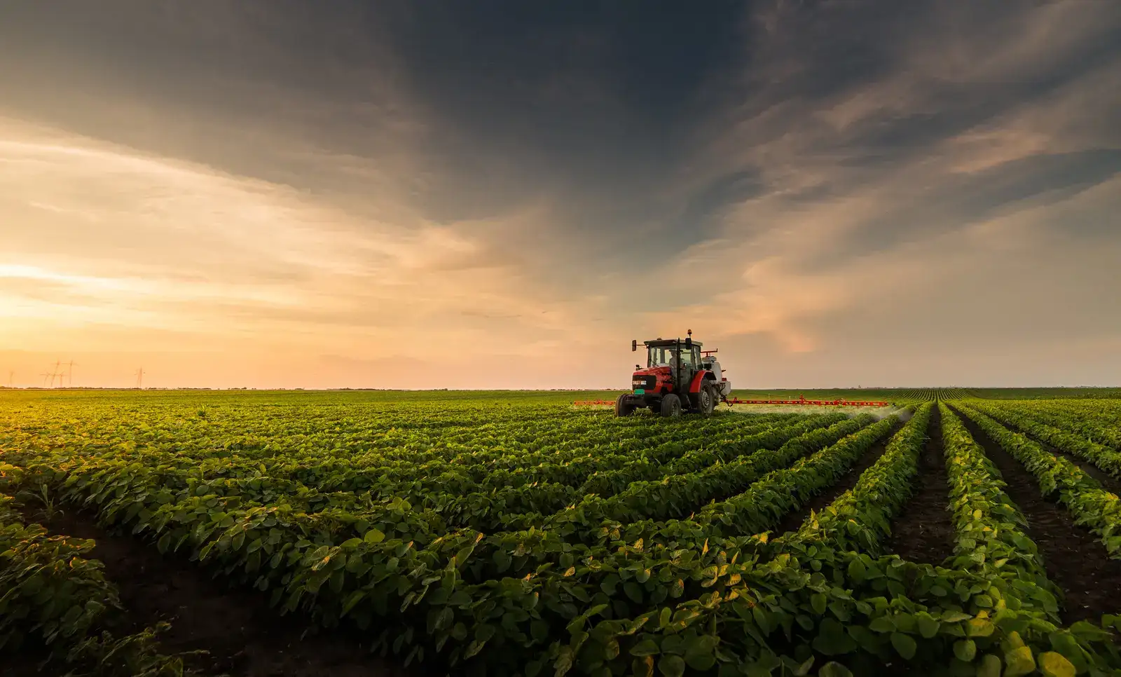 BRICS+ agriculture beyond borders: Trade and resil