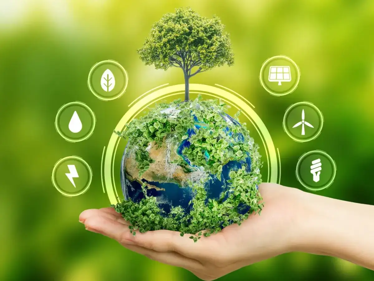 Bonn climate meetings: Concerned by declining levels of clim