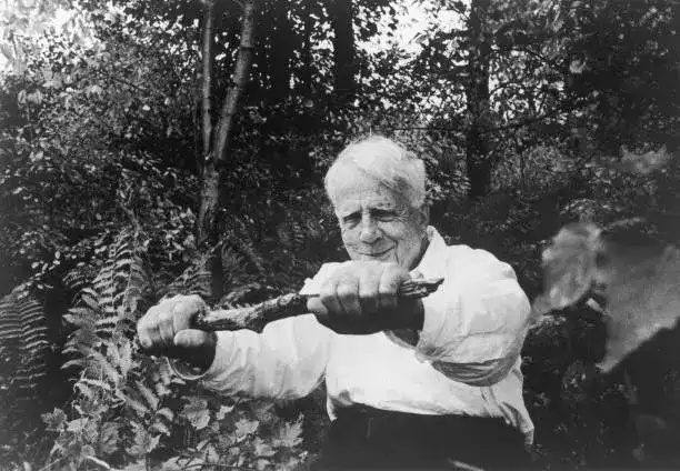 Quote of the Day by American poet Robert Frost: 'And miles t