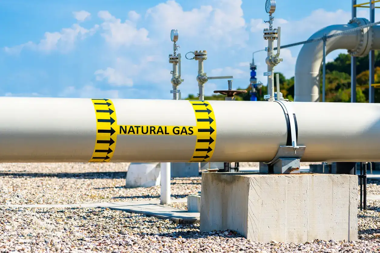 Companies seek lifting of curbs on gas pipeline integration