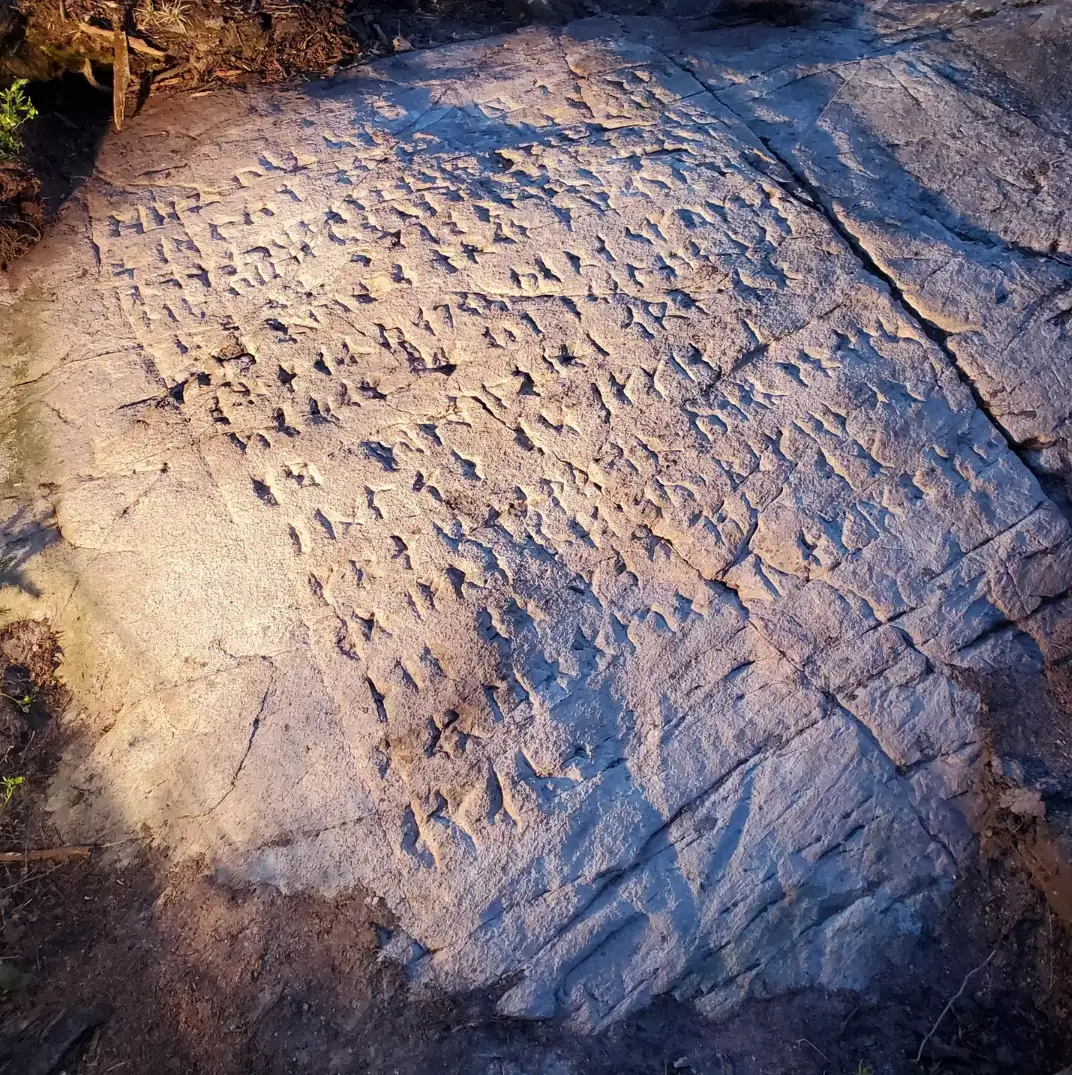 How a runestone in Ontario became one of North America’s mos