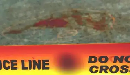 Twelve killed, nine injured in Johannesburg shooting, South 