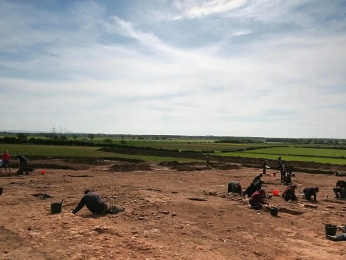 In 2008, archaeologists lifting a skull from a wet pit in Yo