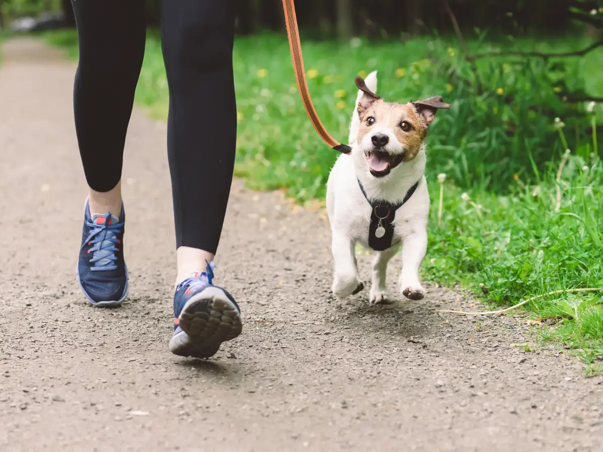 5 Activities to Instantly Bust Stress