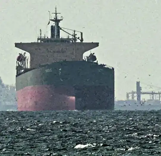 India summons US diplomat over ship strike off nea