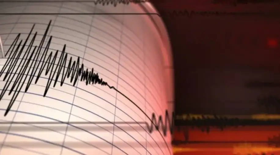 4.7 quake jolts lower Assam, tremor felt in other Northeast 