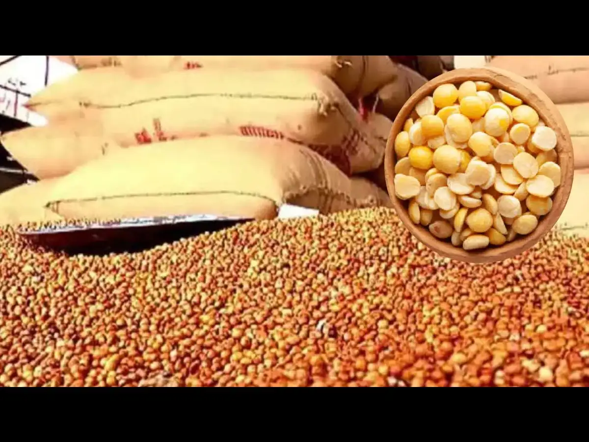 Gearing up for El Nino: NCCF puts tenders to sell Tur Dal on