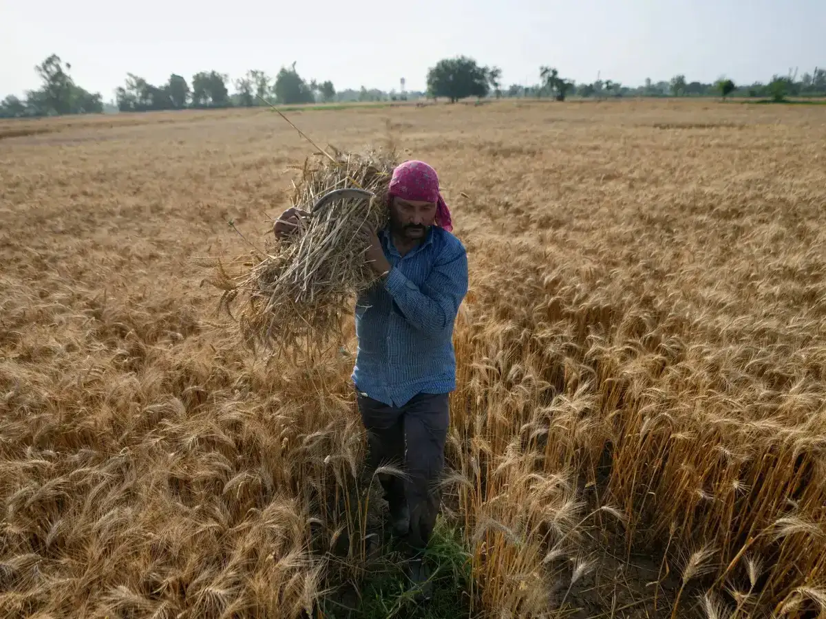 El Nino sets in, clouds kharif outlook
