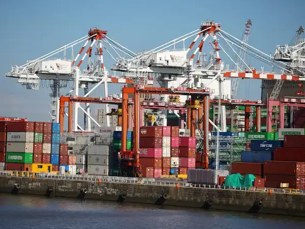 Call to extend duty cuts on critical inputs soon