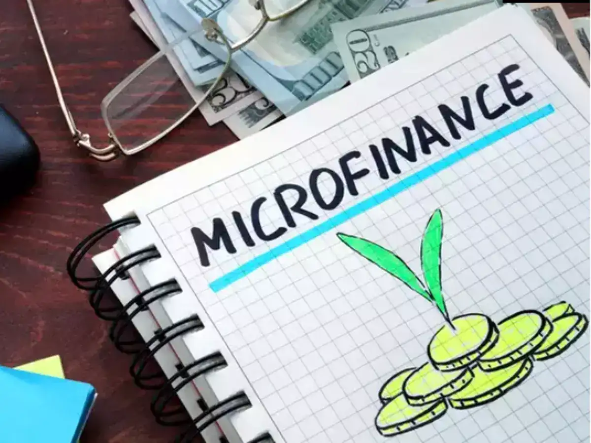 Risks cloud hover over microfinance