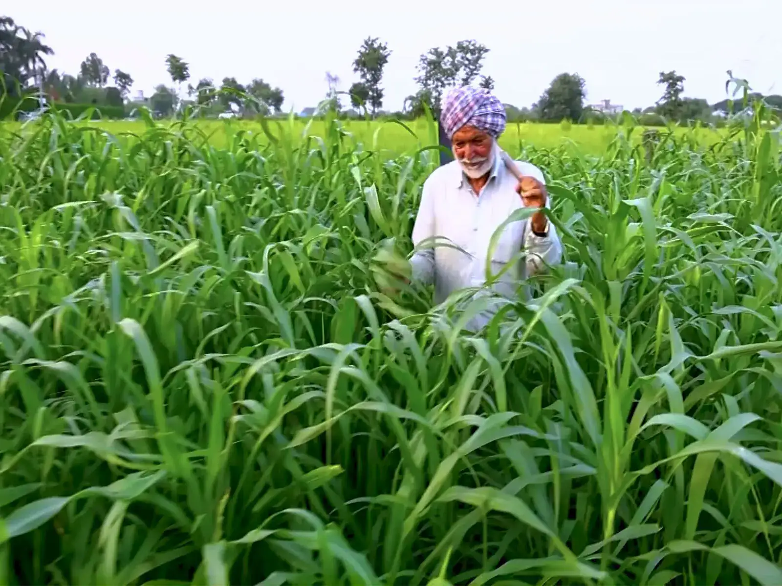 Farm credit demand likely to stay strong in FY27 on higher input costs, agri investments: NABARD