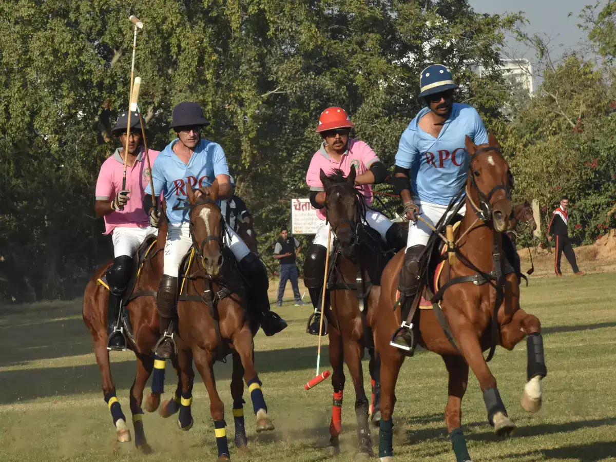Delhi court declines interim relief to Indian Polo Association in Jaipur Polo Ground eviction case
