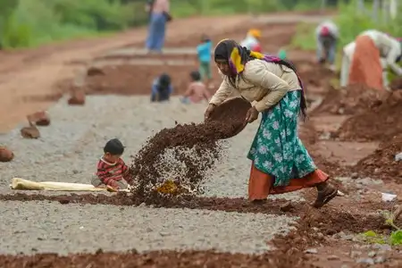 Rs 18,907 crore earmarked to build 26,474 kilometres of rural roads: Govt