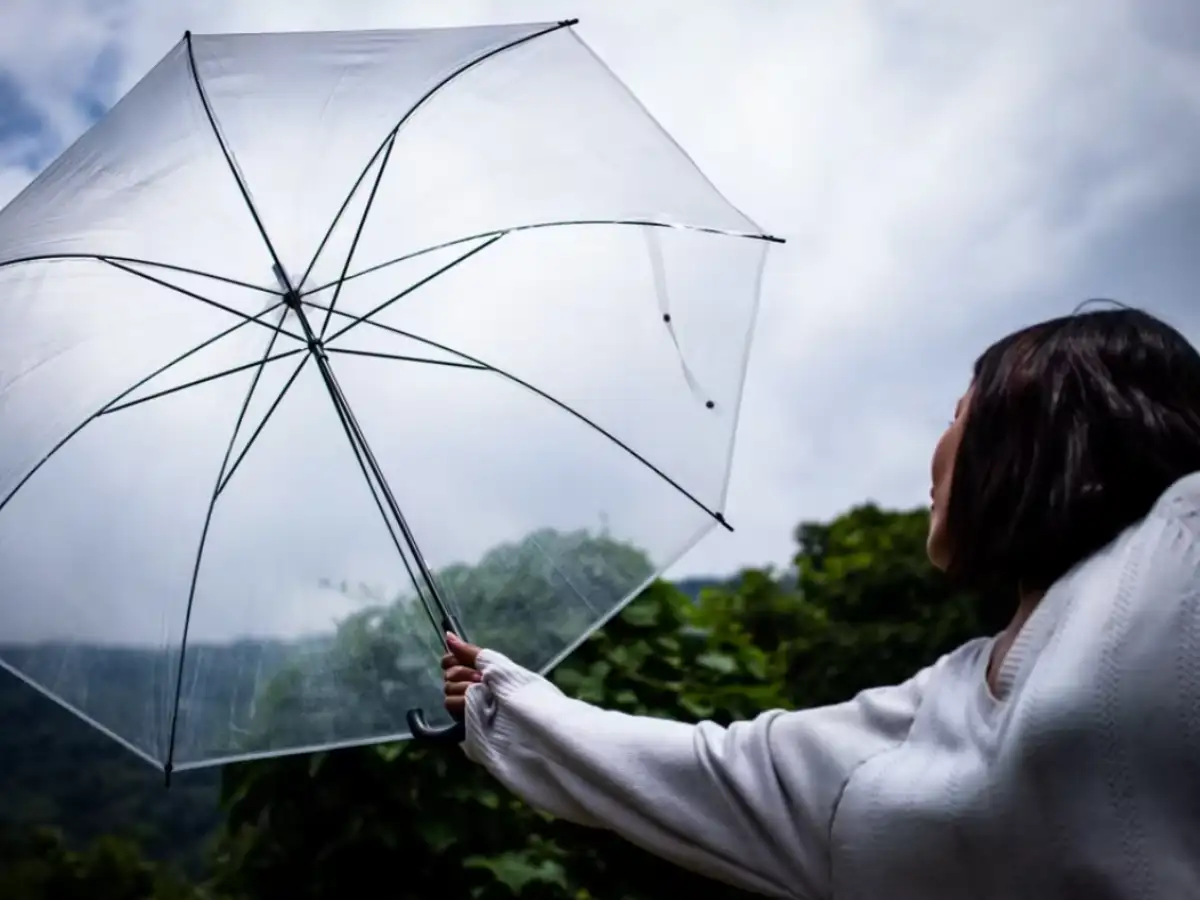 Psychology suggests people who check the weather twice before leaving ...
