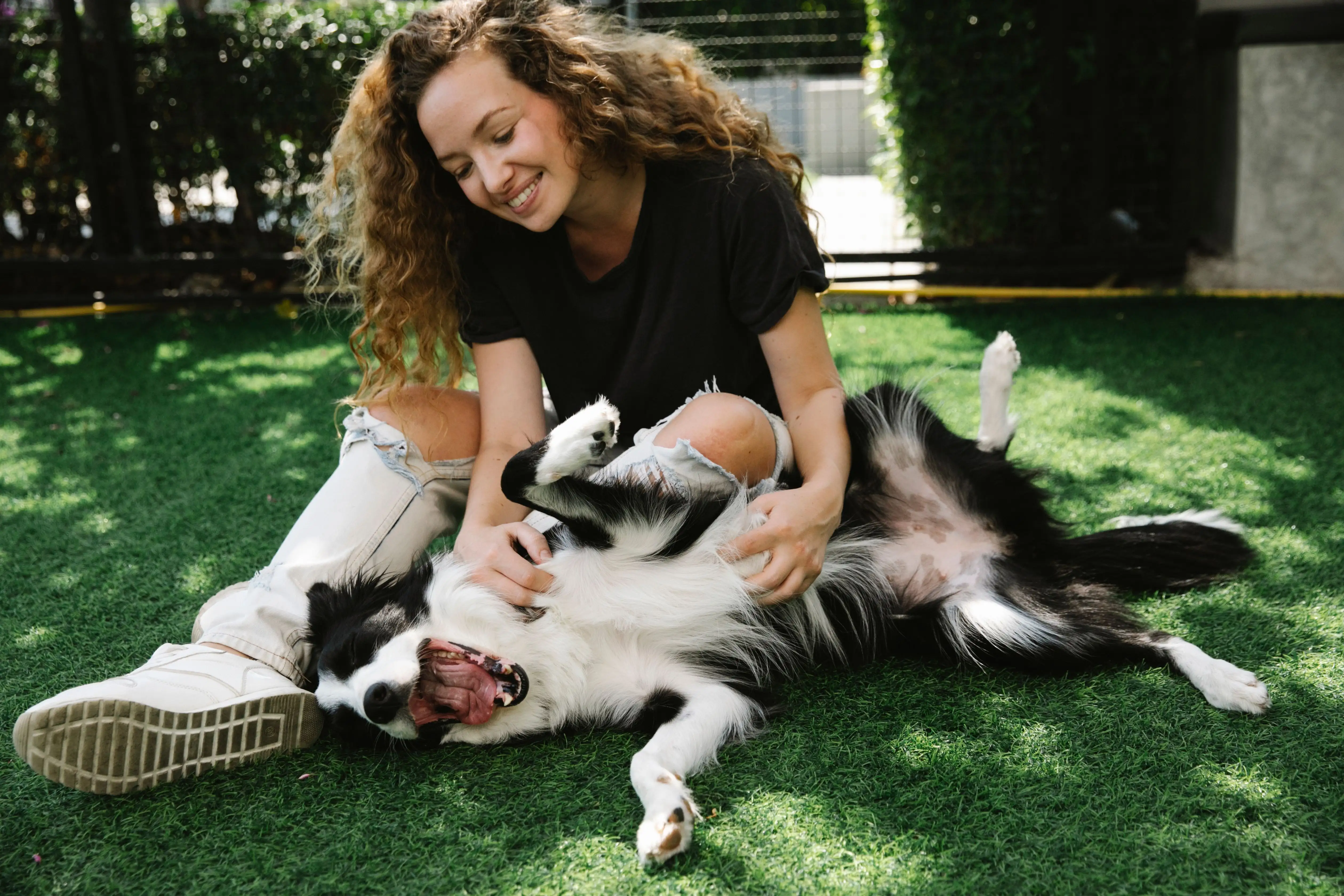 Scientists just tracked 188 pet owners in the Netherlands for five days ...