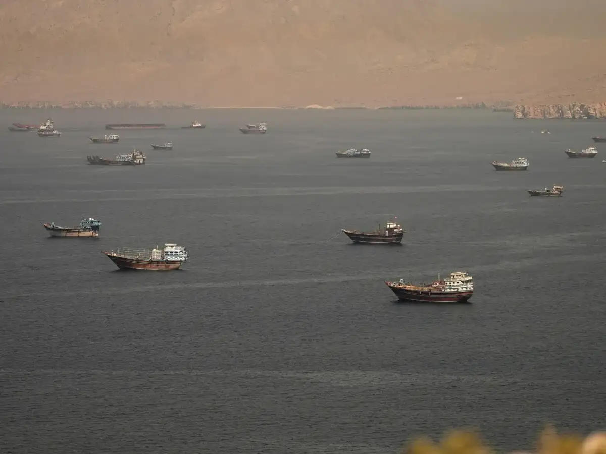India-bound fertilizer ships cross Hormuz, government says