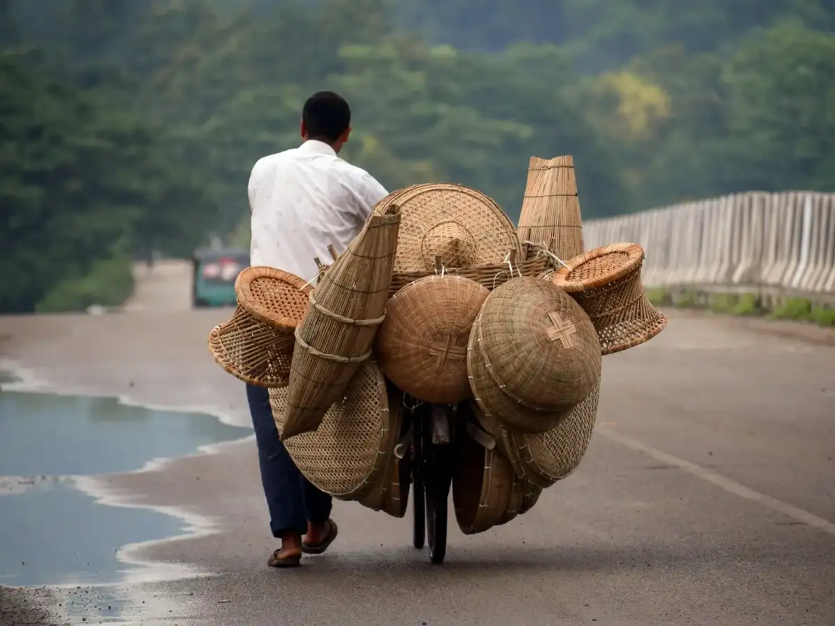 ADB approves USD 42.2 mln loan to boost bamboo industry in northeast region
