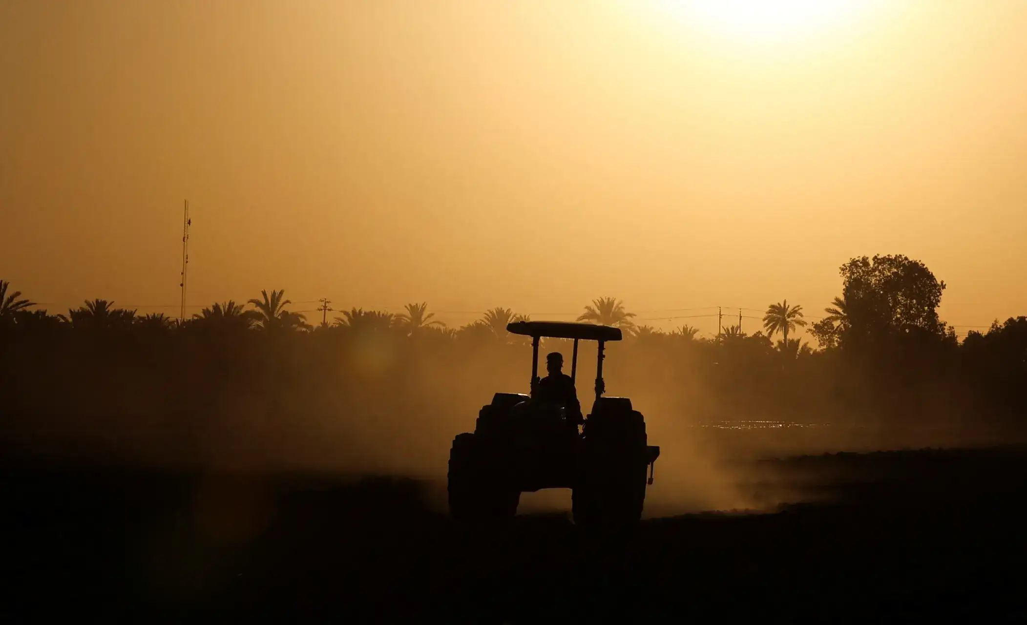 Escorts Kubota tractor sales up 19.1% at 13,695 units in June