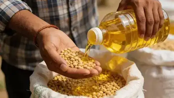 India, China ink edible oil trade pact to boost soybean oil imports