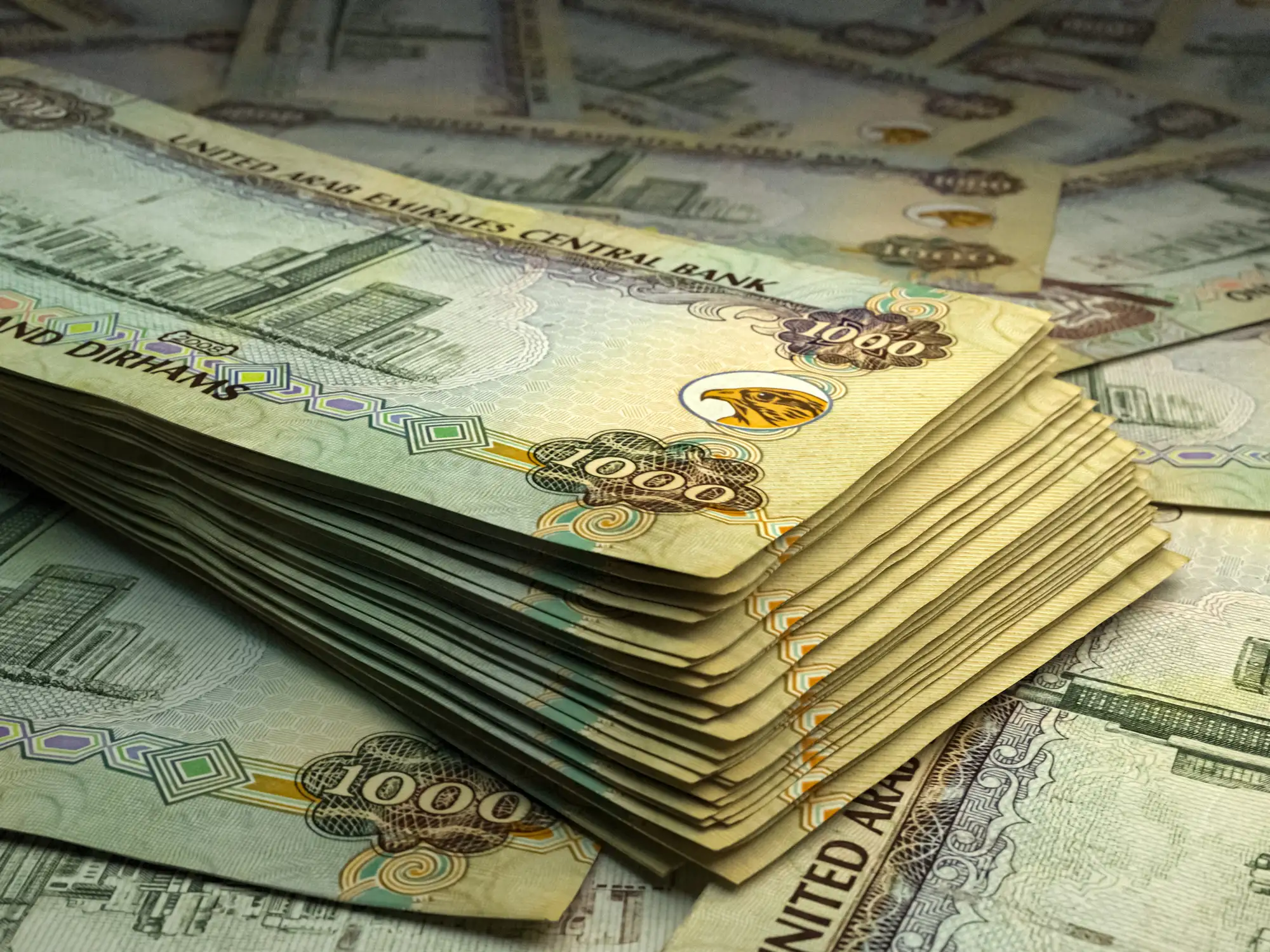 Gush of Gulf sovereign wealth enters India in 2026