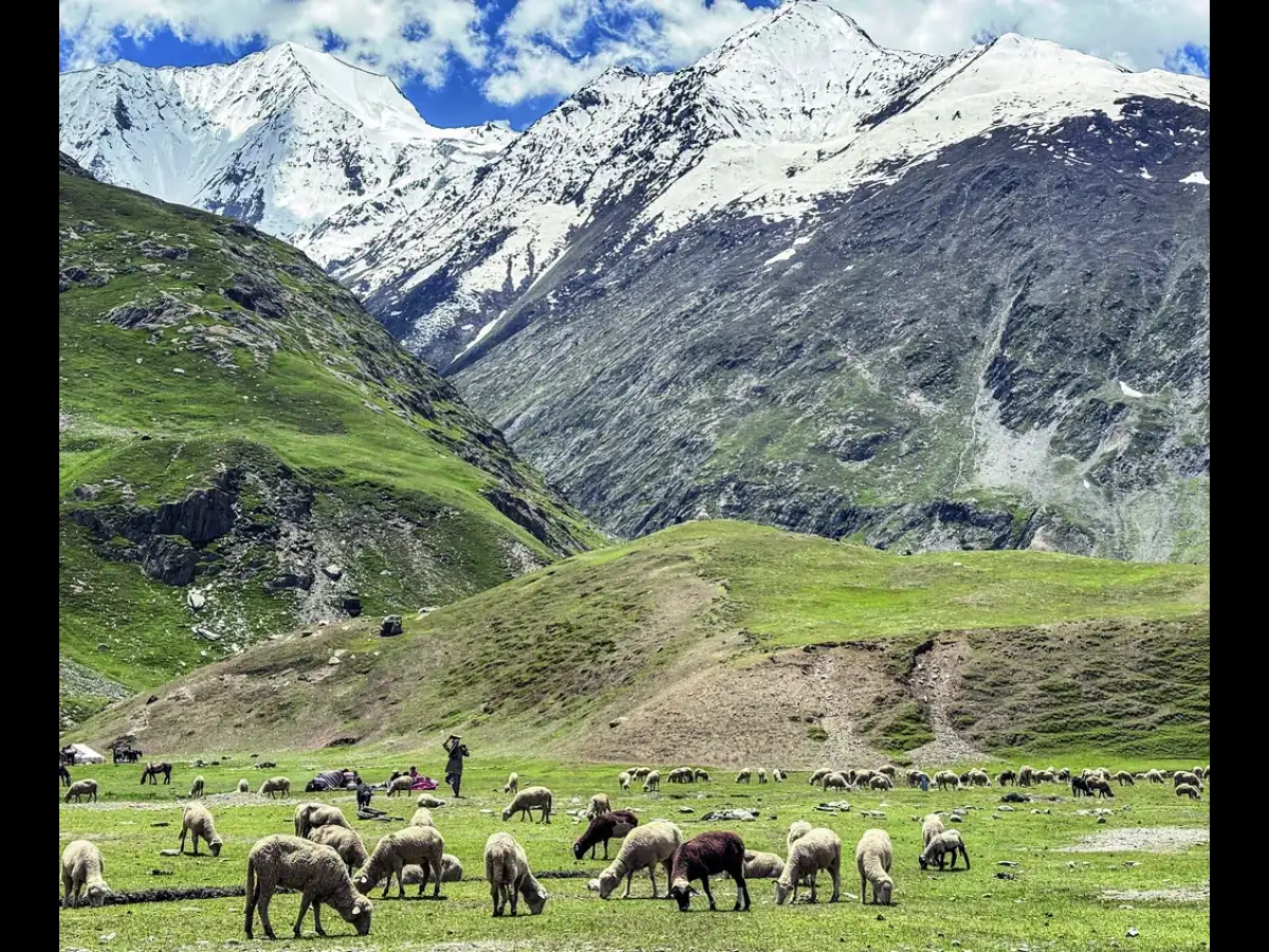 Ladakh tourism surges as June arrivals jump 43% and foreign visitors double from 2025
