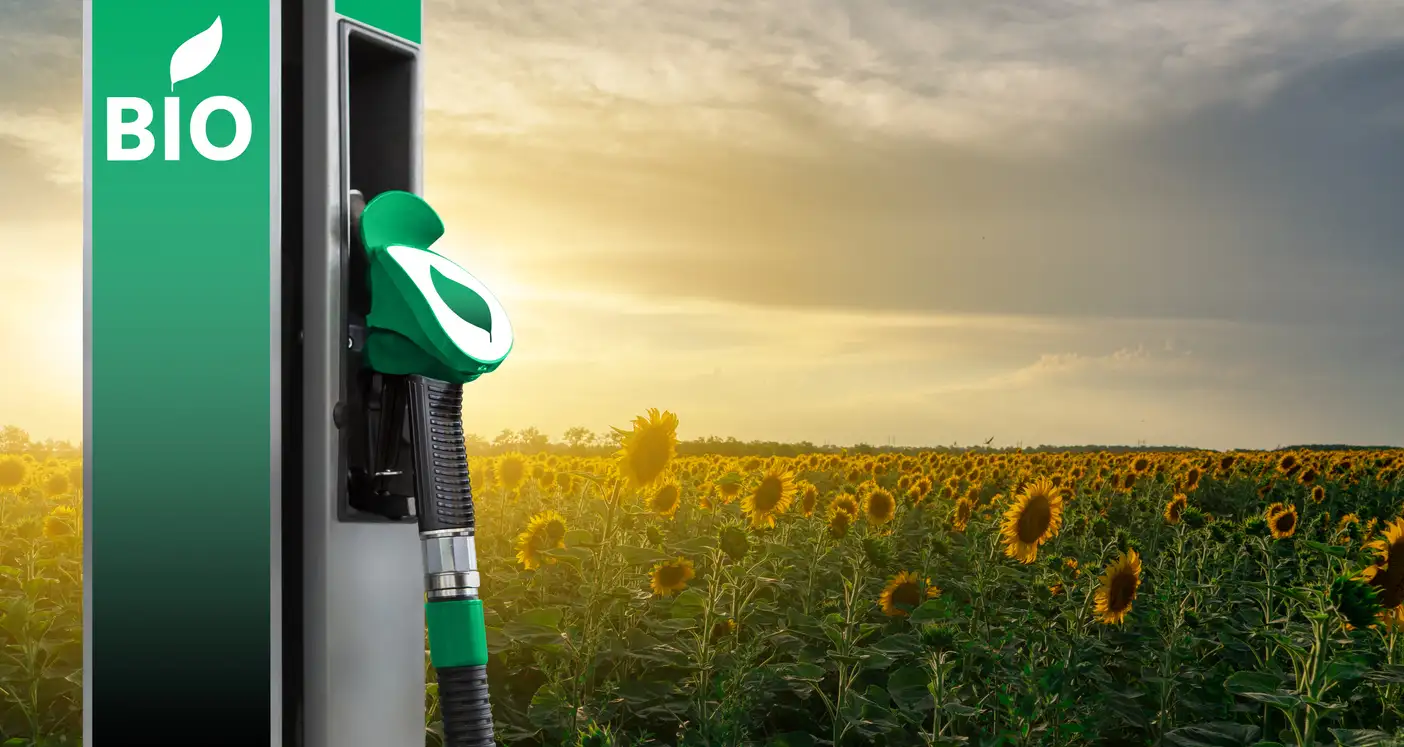 E20 Petrol: Why India wants ethanol blending and what are your worries? Key questions answered