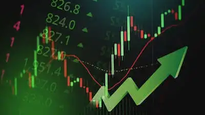 Newgen Software shares surge 15% as broad-based IT stocks rally