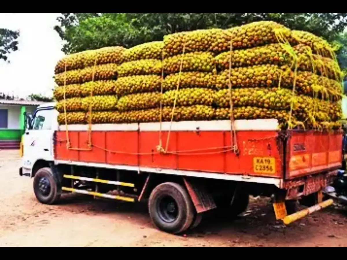 Freight woes threaten fresh supply crunch in Manipur as transporters stay away