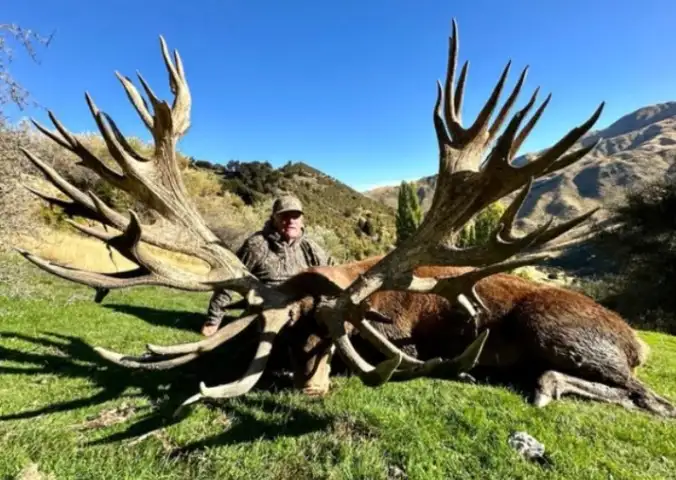 In 1861, an English lord sent three red deer to New Zealand for sport ...