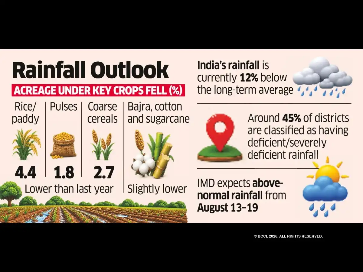 Kharif Sowing Near Normal as Rainfall Deficit Shrinks