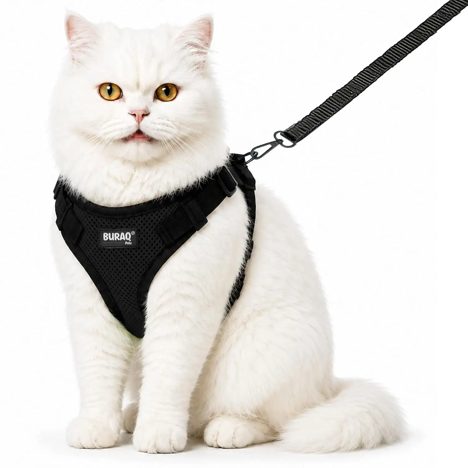 Image for BuraqPetsCatHarnesswithLeash