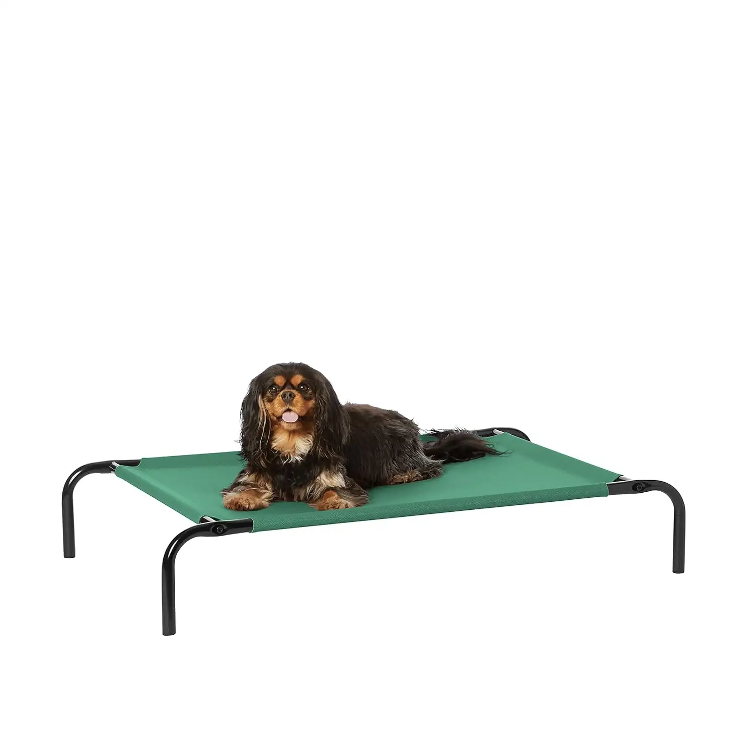 Image for AmazonBasicsSmallCoolingPetDogCotBed