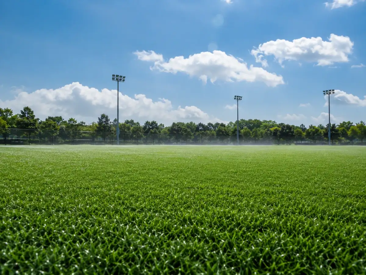 In 2024, a Dutch sports field stored...