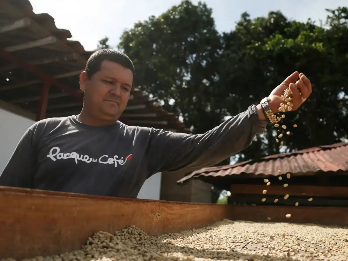 Vietnam’s coffee farmers are betting on durian to strike it rich in China