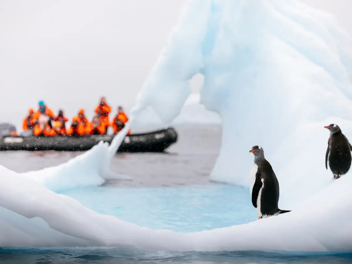 Antarctica flights take off with fuel made from kitchen waste 