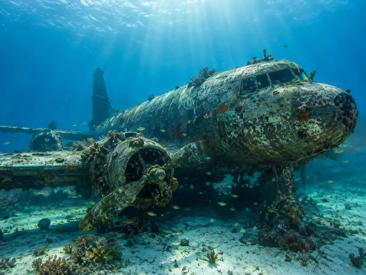 In 1985, Broward County sank a DC-4 off Fort Lauderdale in 71 feet of water; the wreck later became a monitored artificial reef 