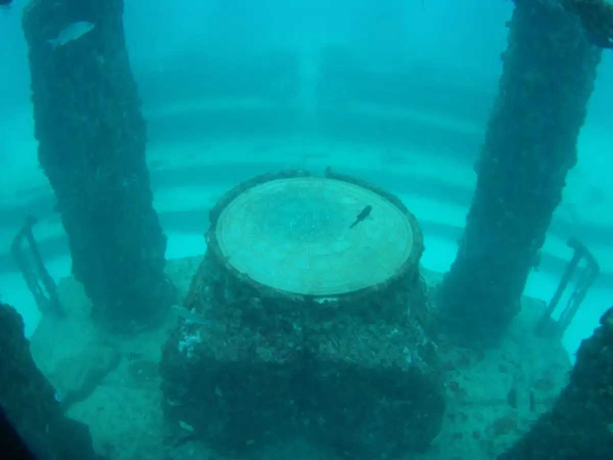 In 2007, the Neptune Memorial Reef began growing off Florida with cremated remains; the planned 16-acre site later developed into a coral habitat 