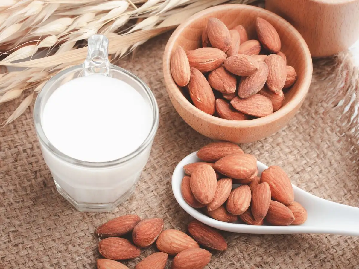 9 high protein breakfasts you can easily make at home 